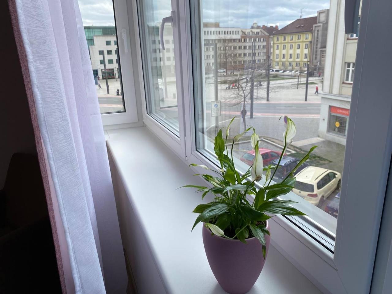 Apartmán Perla Hradce 202 Hradec Králové Exteriér fotografie
